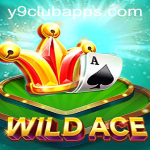 Discovering WildAce: A Unique Gaming Experience with Y9Club